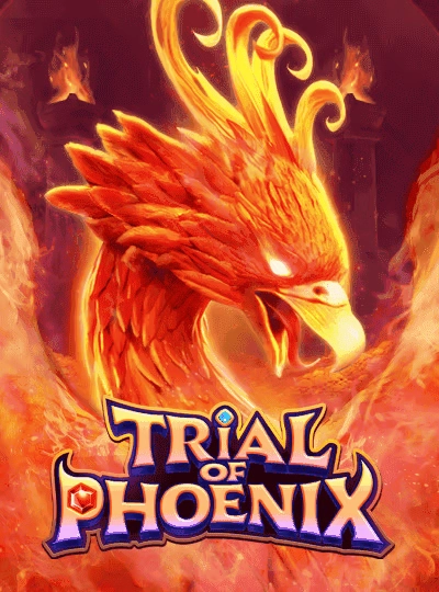 Book of Dead slot cover